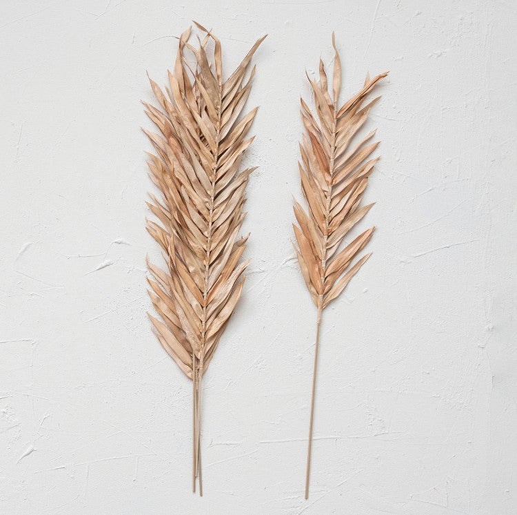 Dried Natural Fountain Palm Bunch