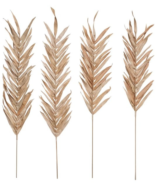 Dried Natural Fountain Palm Bunch