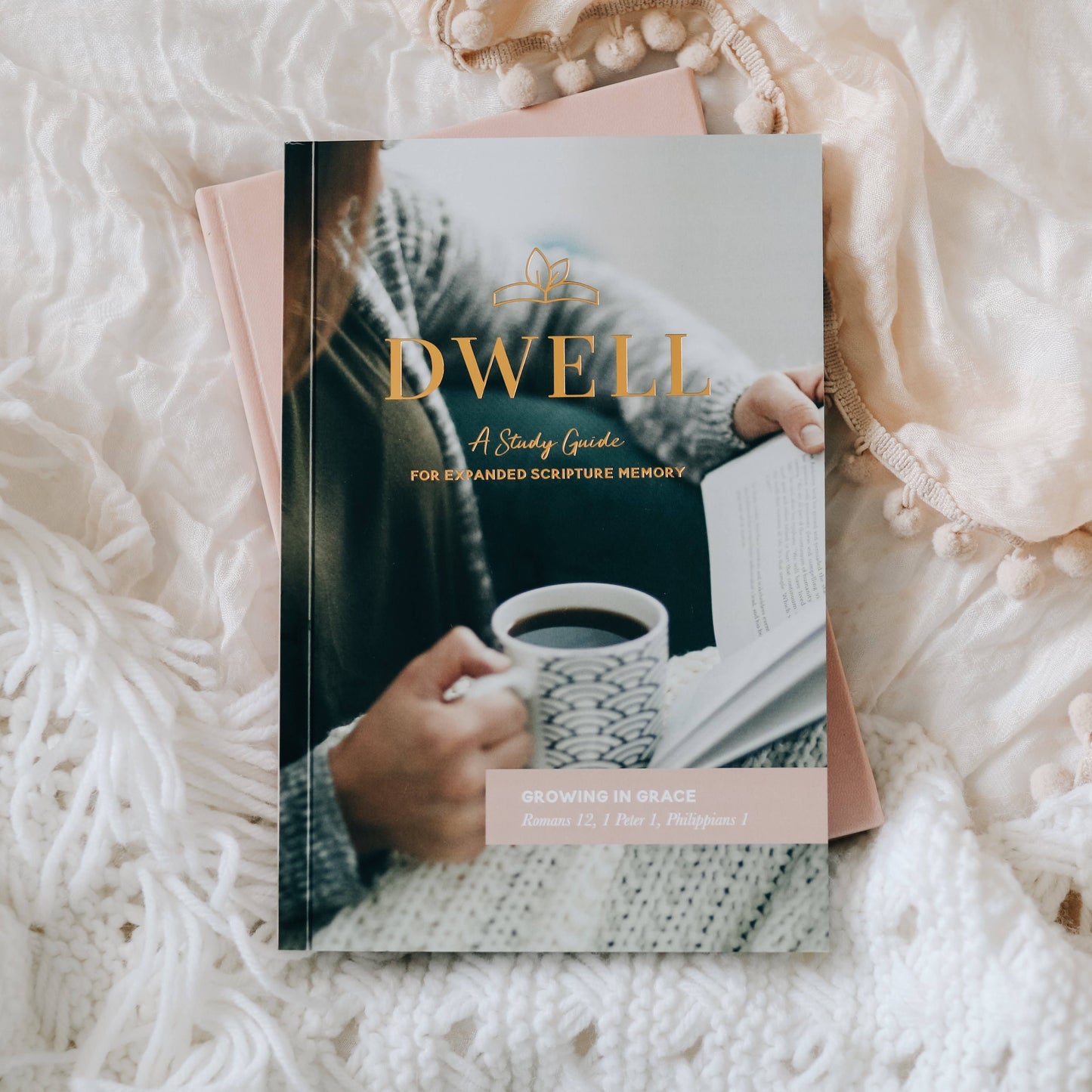Bible Devotions