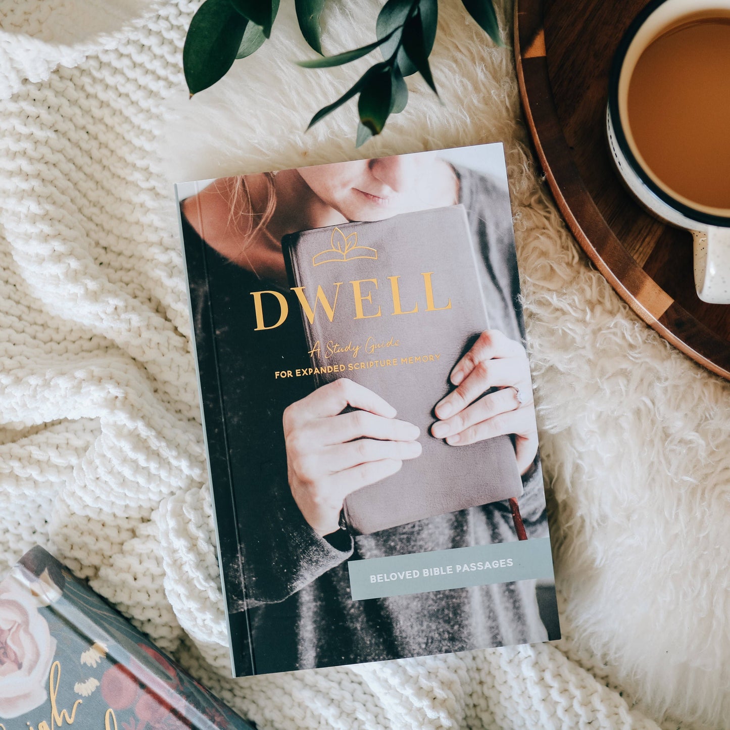 Bible Devotions
