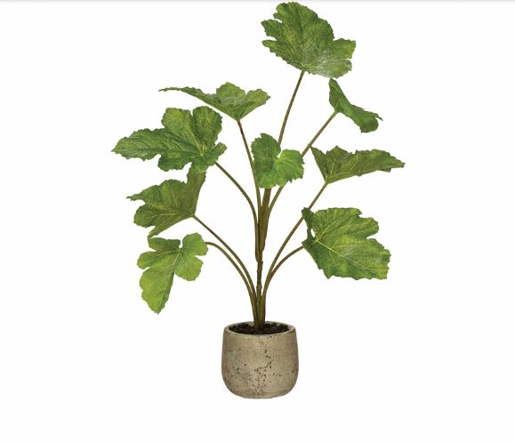 faux plant