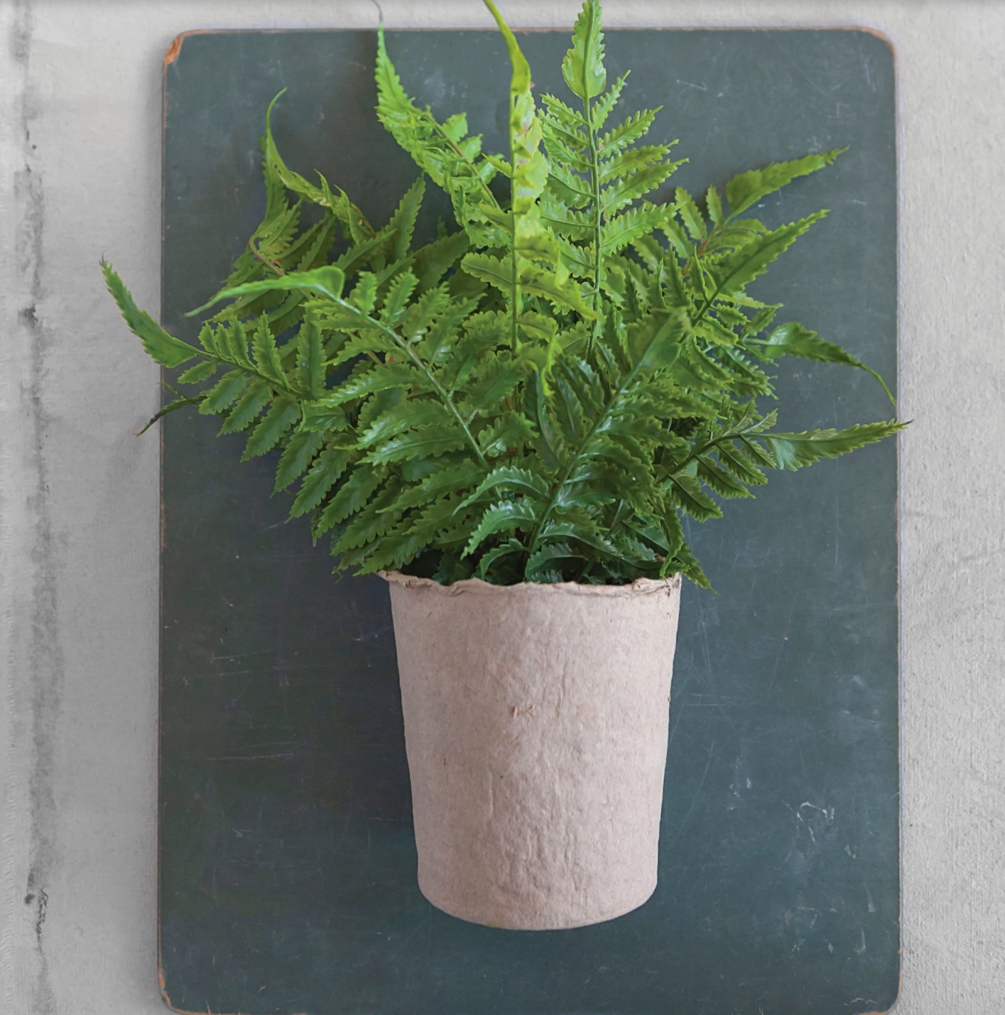 Faux Fern in Paper Pot