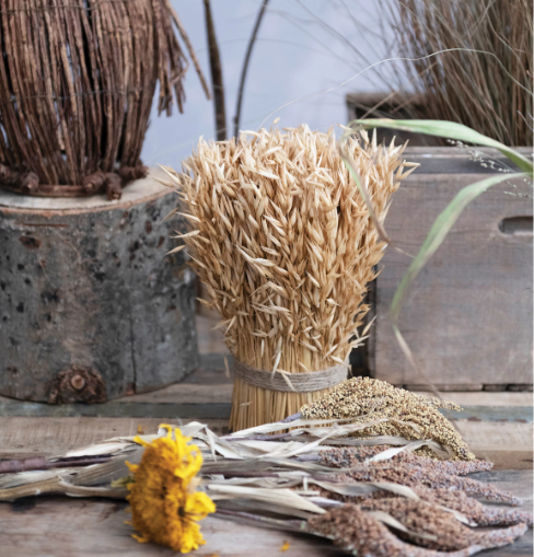 Harvest Bundle