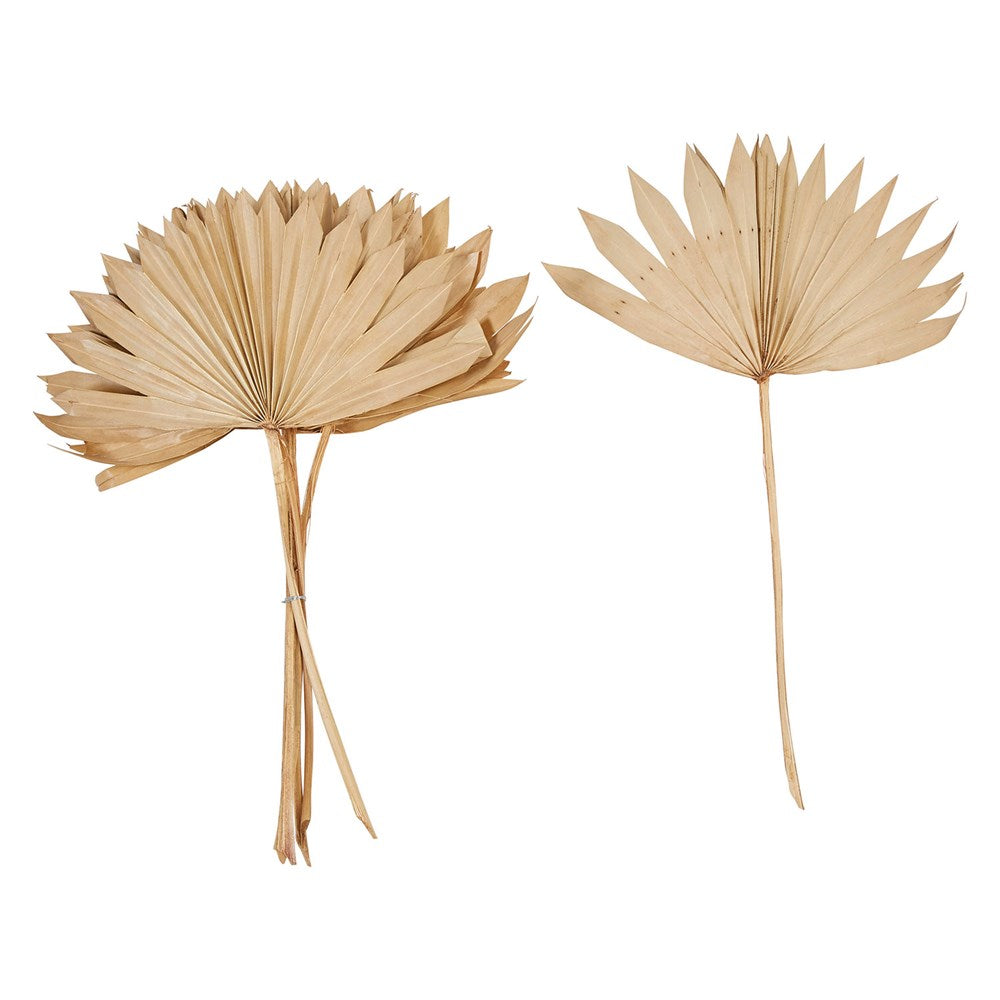 Sun Cut Palm Collection
