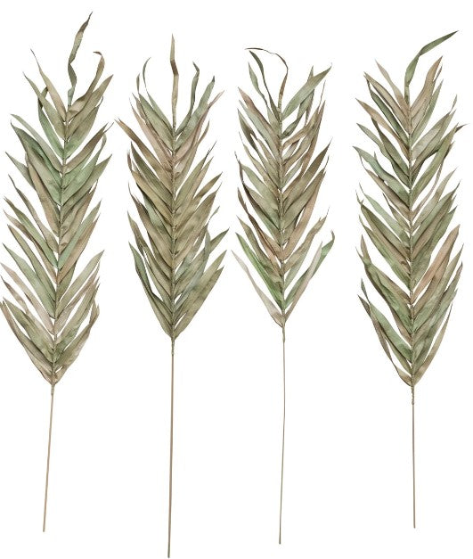 Dried Natural Fountain Palm Bunch