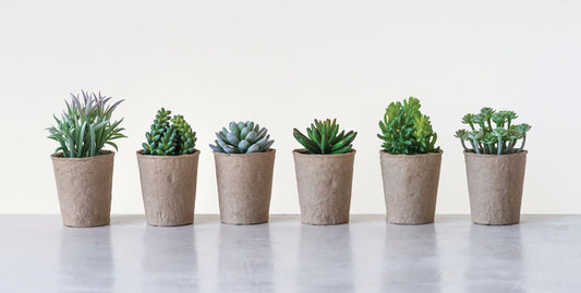 Faux Succulent in Paper Pot, 6 Styles