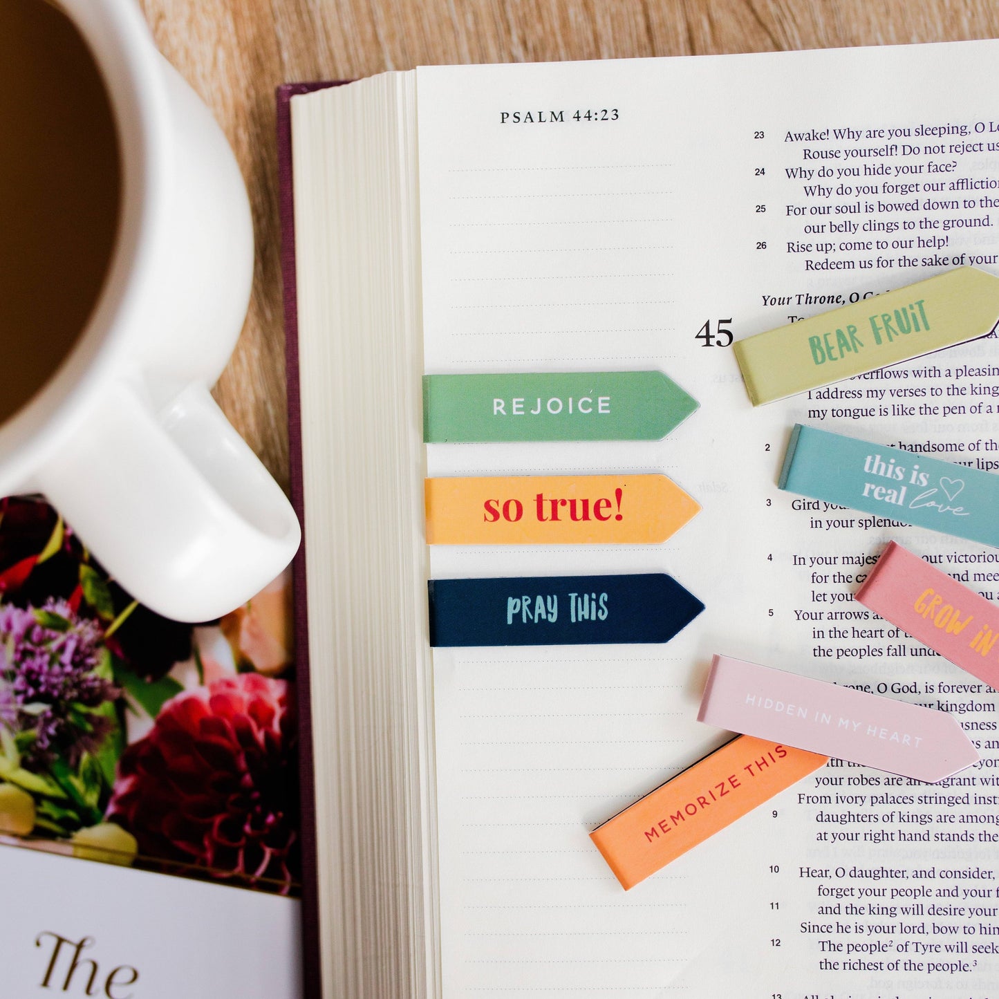Bear Fruit Bookmark Set