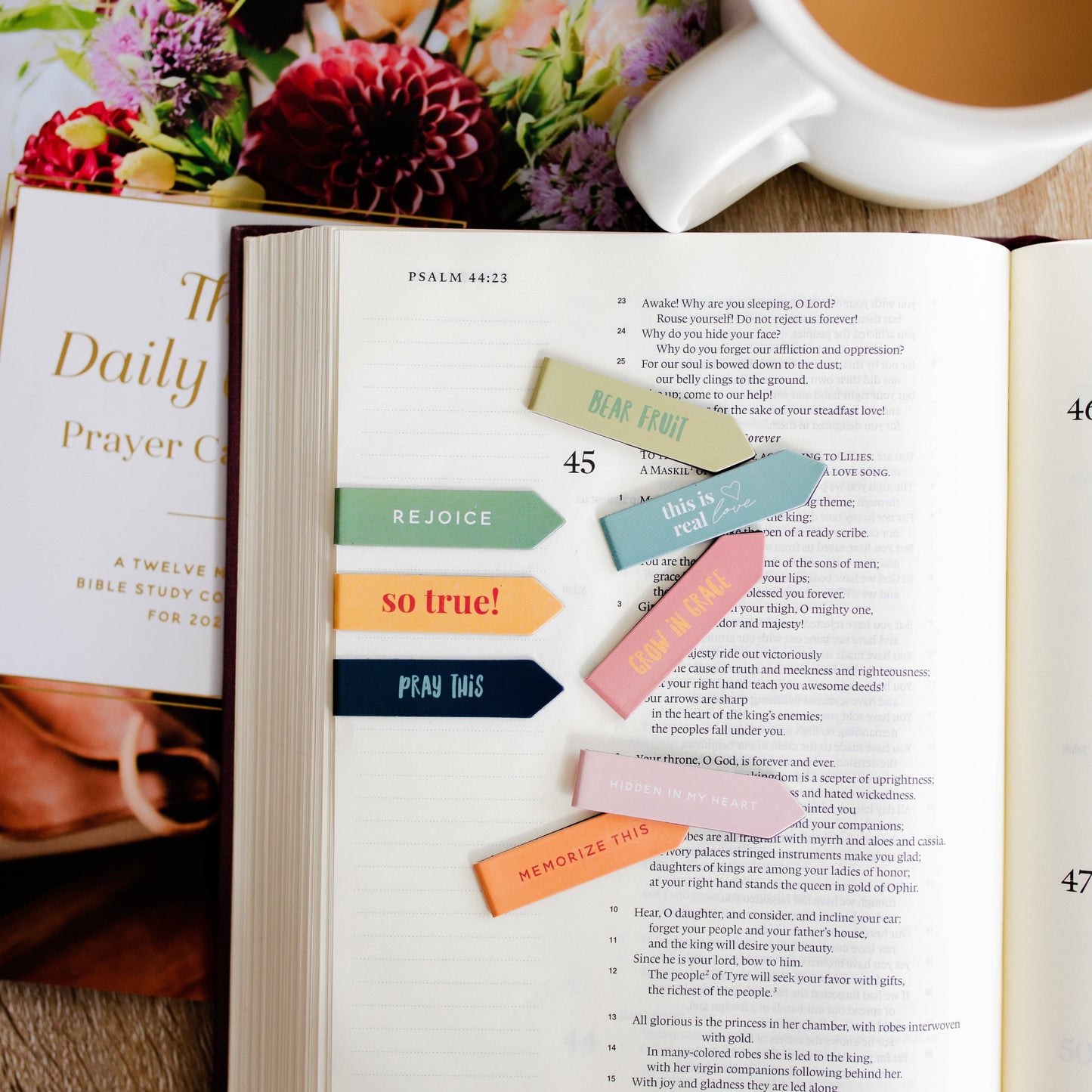 Bear Fruit Bookmark Set