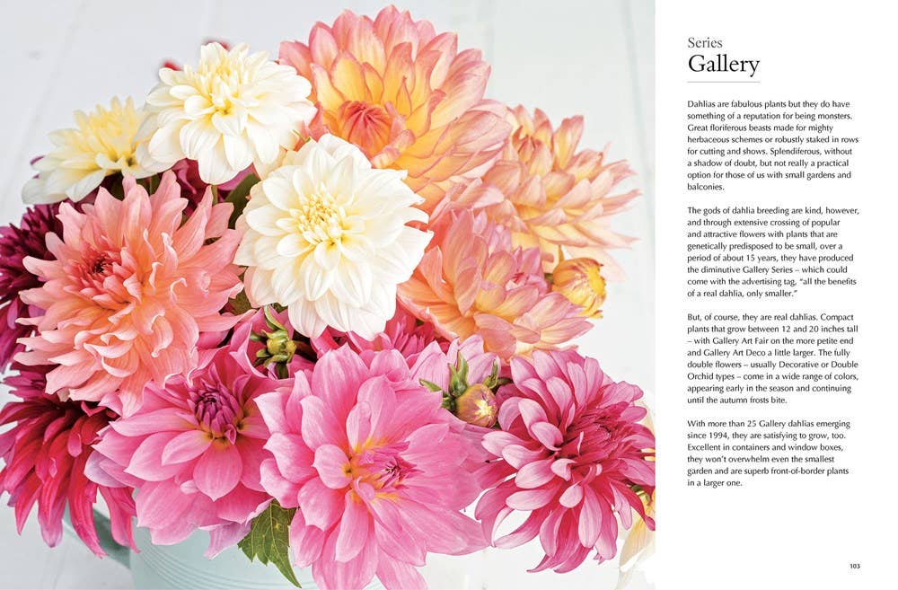 Dahlias Hardcover Book