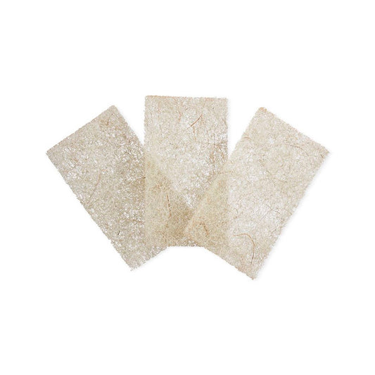 Beachy Clean Scrub Pads