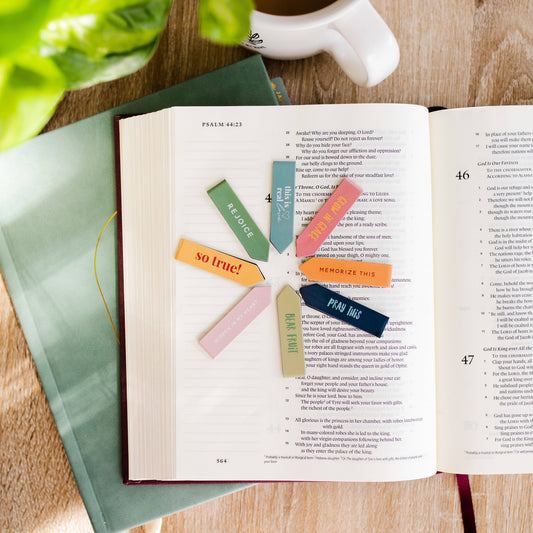 Bear Fruit Bookmark Set