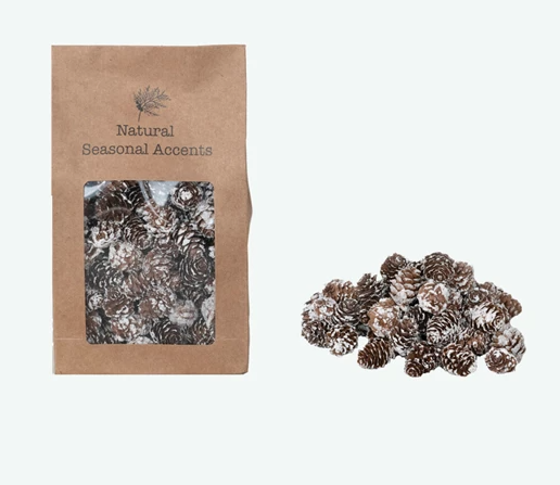 Dried Decorative Pinecones