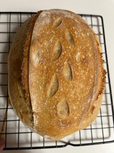 Sourdough Loaves