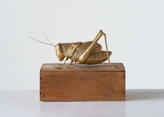 Golden Cricket