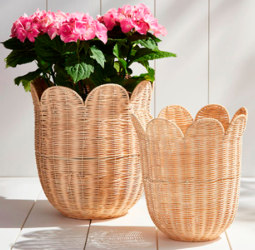 Scallop Wicker Basket