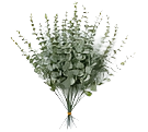 Faux Eucalyptus