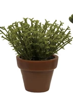 Faux Plant in Plastic Pot