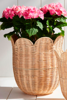 Scallop Wicker Basket