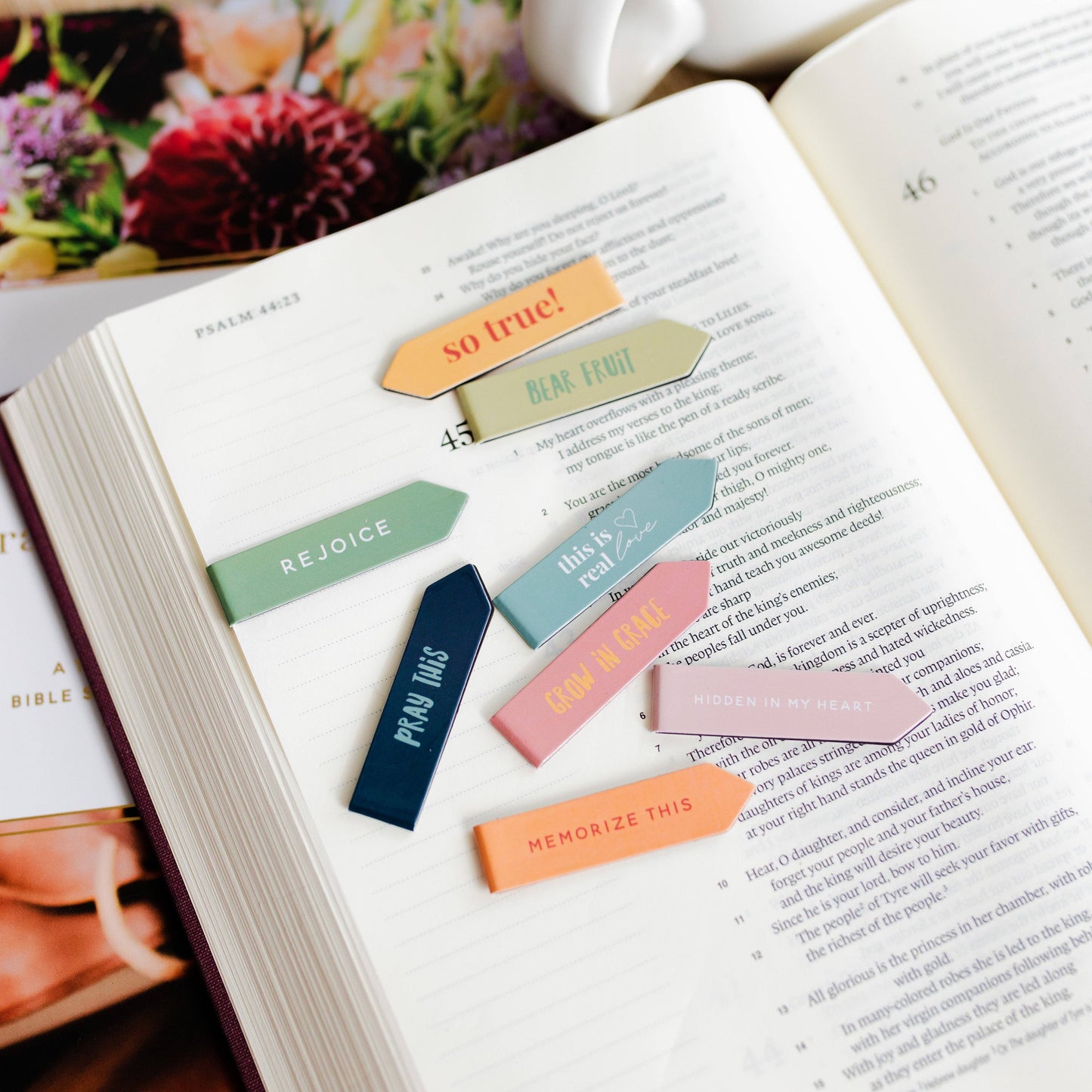 Bear Fruit Bookmark Set
