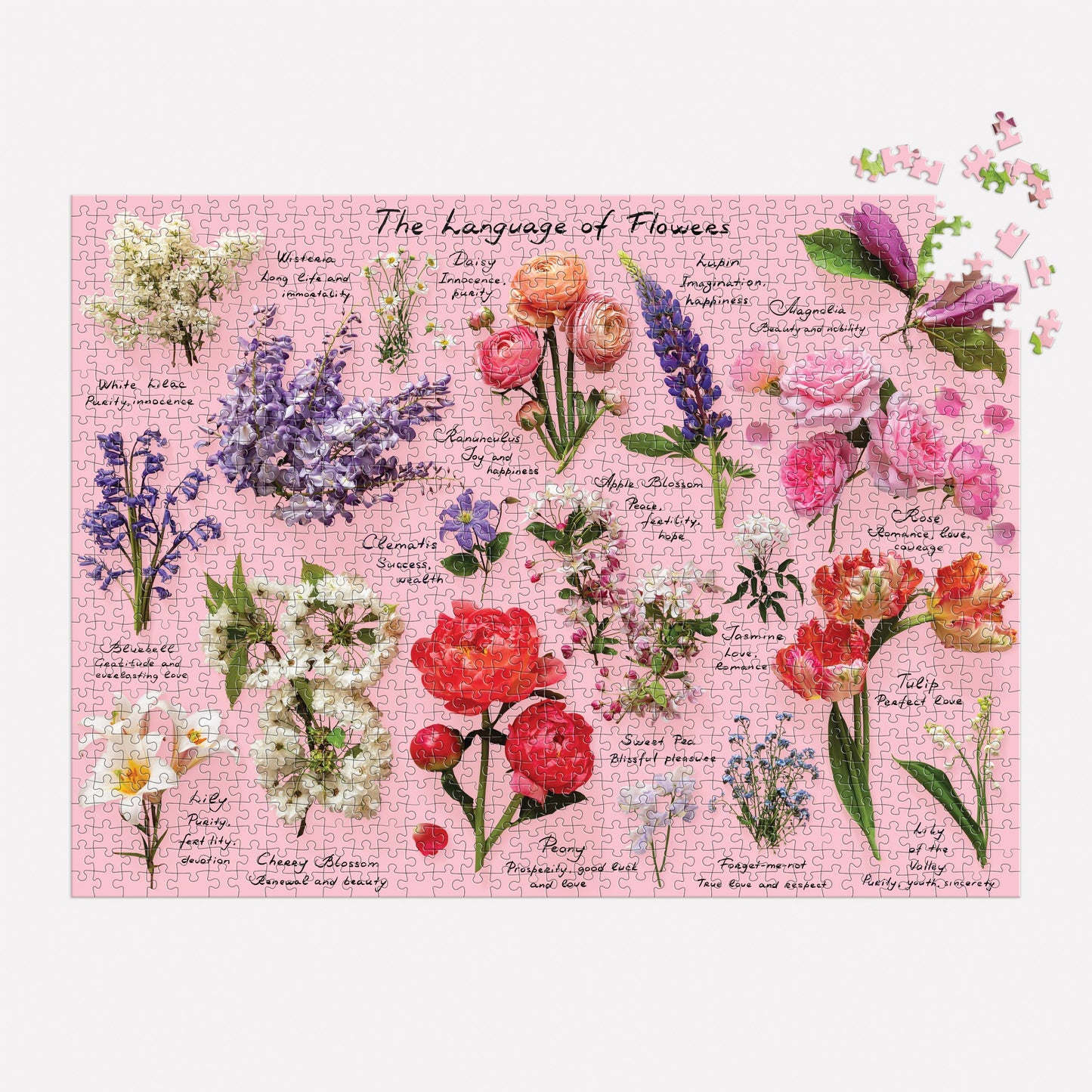 Language of Flowers 1000 Piece Puzzle