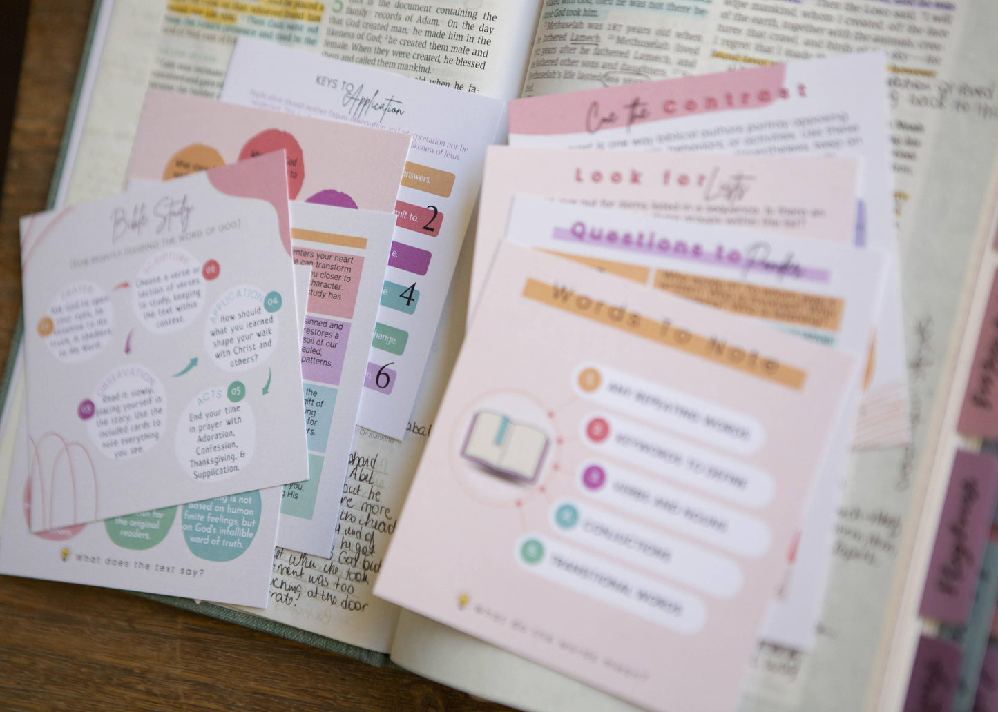 Bible Study Cards