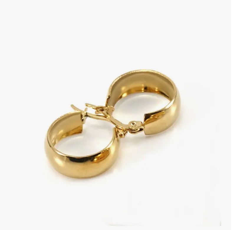 Gold Platted Stainless Steel Earrings