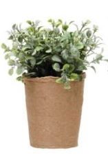 Faux Herb in Paper Pot, 5 Styles