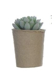 Faux Succulent in Paper Pot, 6 Styles