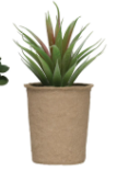 Faux Succulent in Paper Pot, 6 Styles