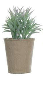 Faux Succulent in Paper Pot, 6 Styles