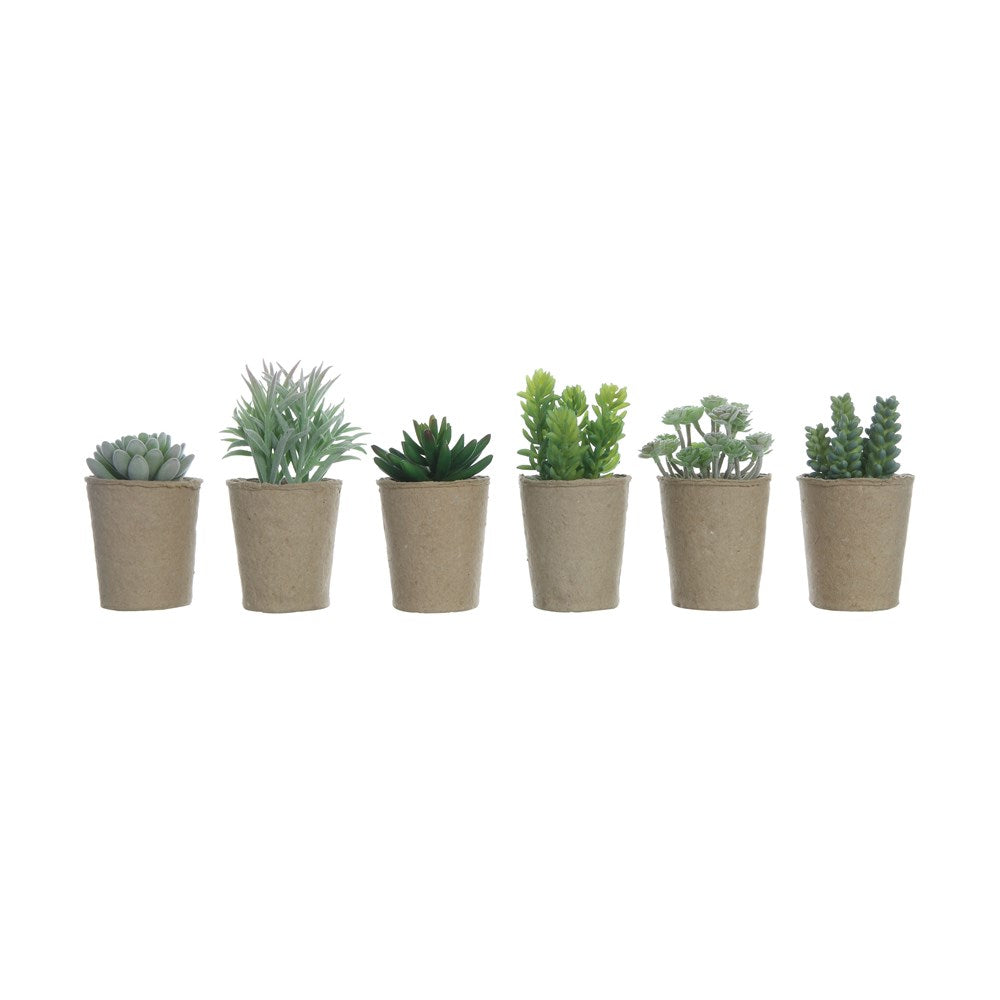 Faux Succulent in Paper Pot, 6 Styles