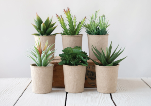 Faux Succulent in Paper Pot, 6 Styles