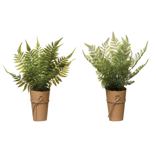 Fern in Paper Wrapped Pot