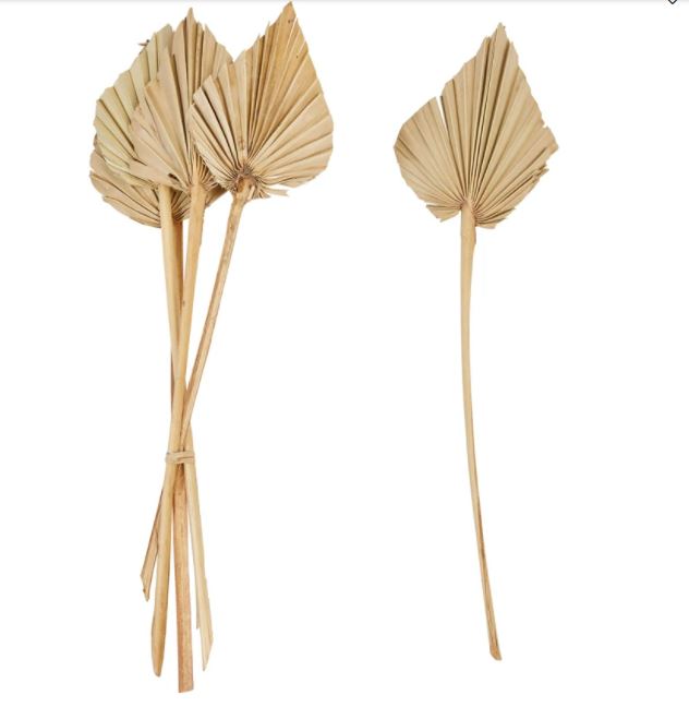 Spear Cut Palm Leaf Collection