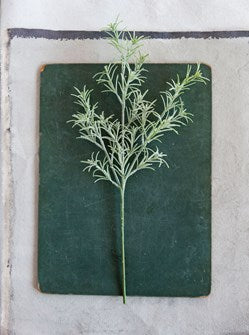 Rosemary Stem