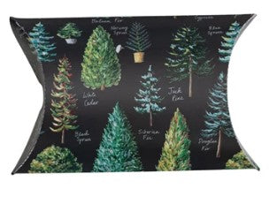 Evergreen Gift Envelopes