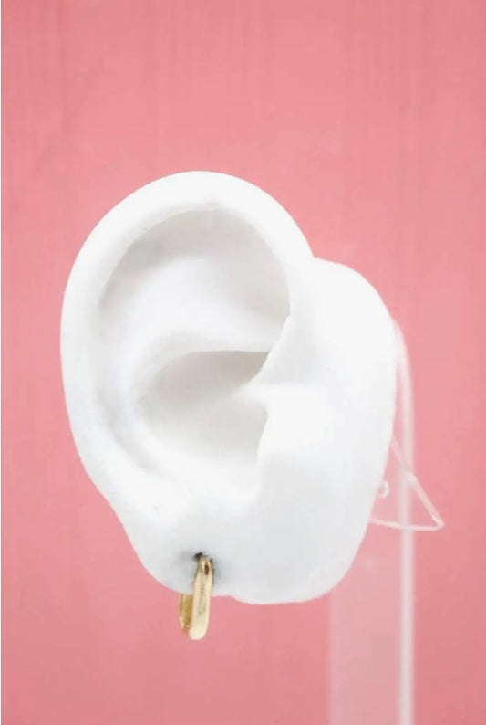 Oval Huggies Earrings