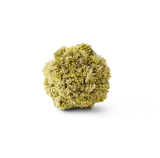 Light Green Sedum Ball
